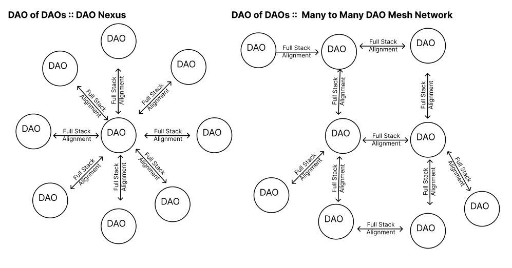 DAO nexus shapes
